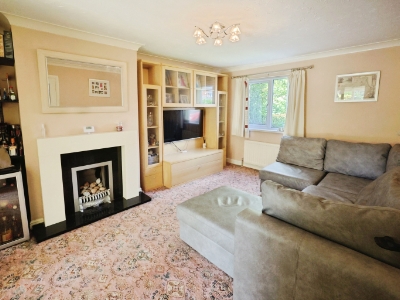 Picture 2